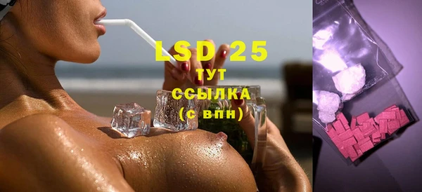 прущие грибы Зерноград