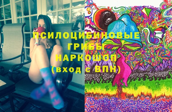 прущие грибы Зерноград