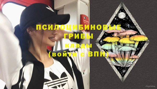 прущие грибы Зерноград