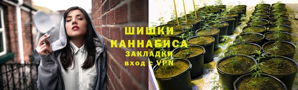 прущие грибы Зерноград