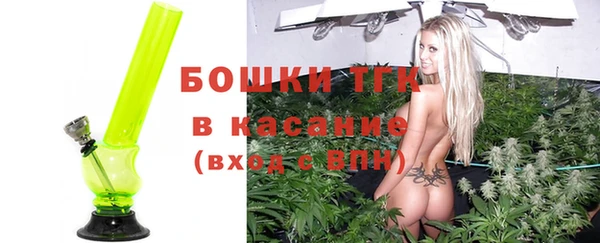 прущие грибы Зерноград
