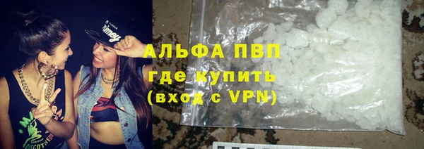прущие грибы Зерноград
