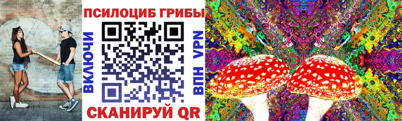 Псилоцибиновые грибы ЛСД  Купить  Котово 