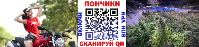 Канабис LSD WEED  Купить  Котово 